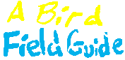 A Bird Field Guide