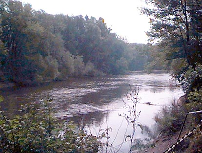 Downriver - looking Southeast