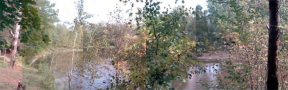 From cottage looking Northwest
