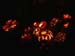 big_pumpkins_102701