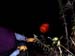 laurnns_pumpkins_102701