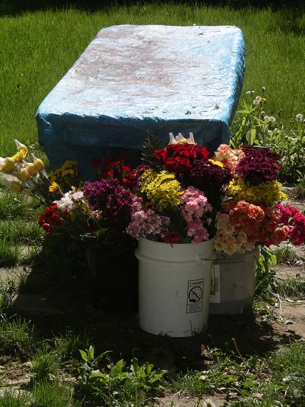 IMGP7942