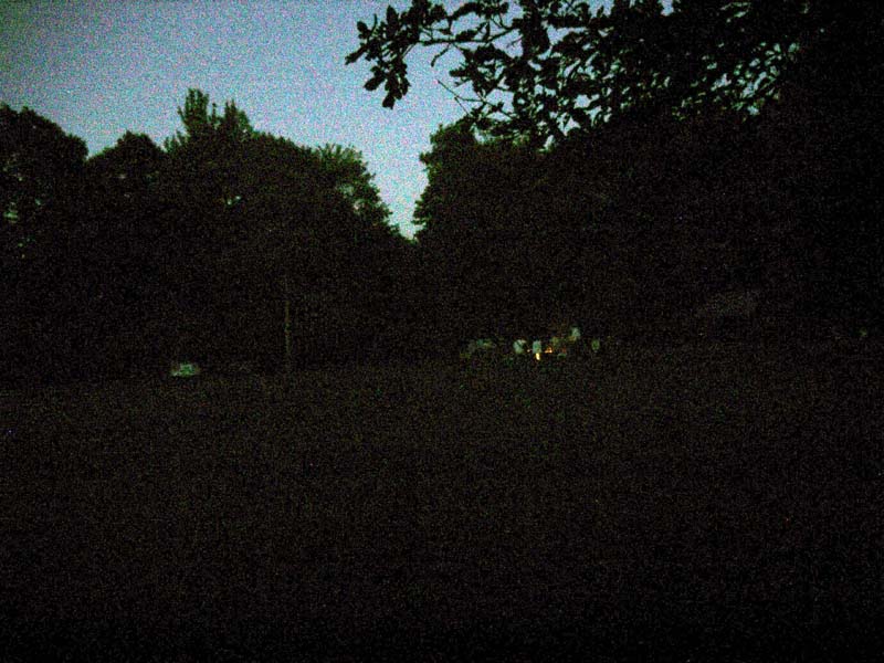 meadow_2005_01