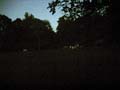 meadow_2005_01