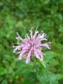 DSCF0029