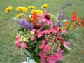 DSCF0037
