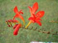 DSCF0039