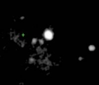 Green cross marks the site of a new type of black hole found in the galaxy M82.