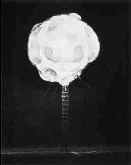 A gallery of nuclear tests